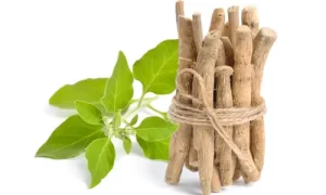 Ashwagandha & Piperine