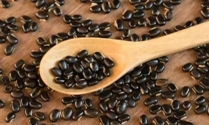 Mucuna Pruriens & Maca Root