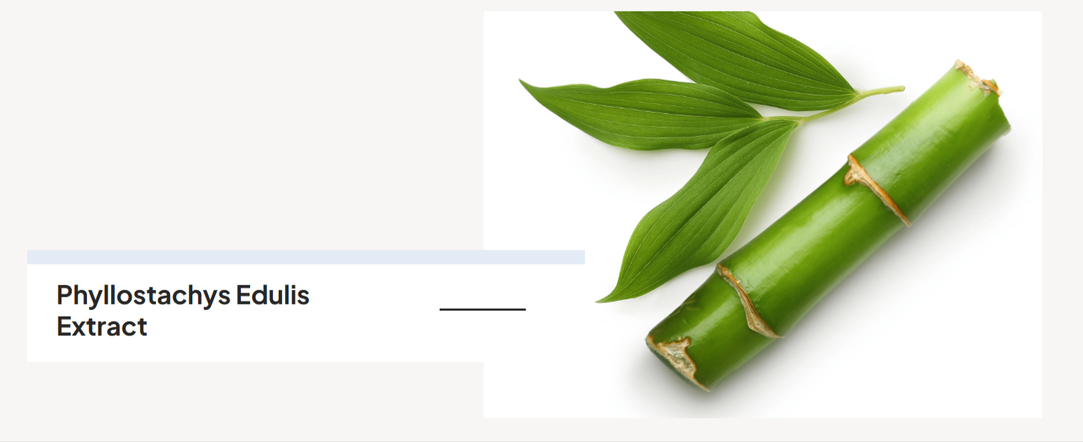 Phyllostachys Edulis