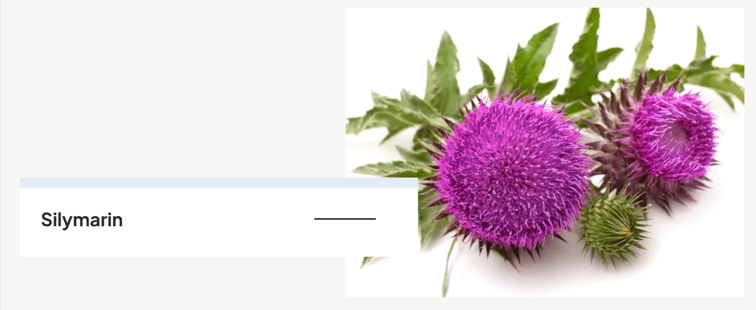 Silymarin